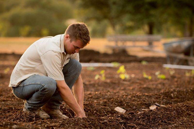 Maple Grove Gardenworks