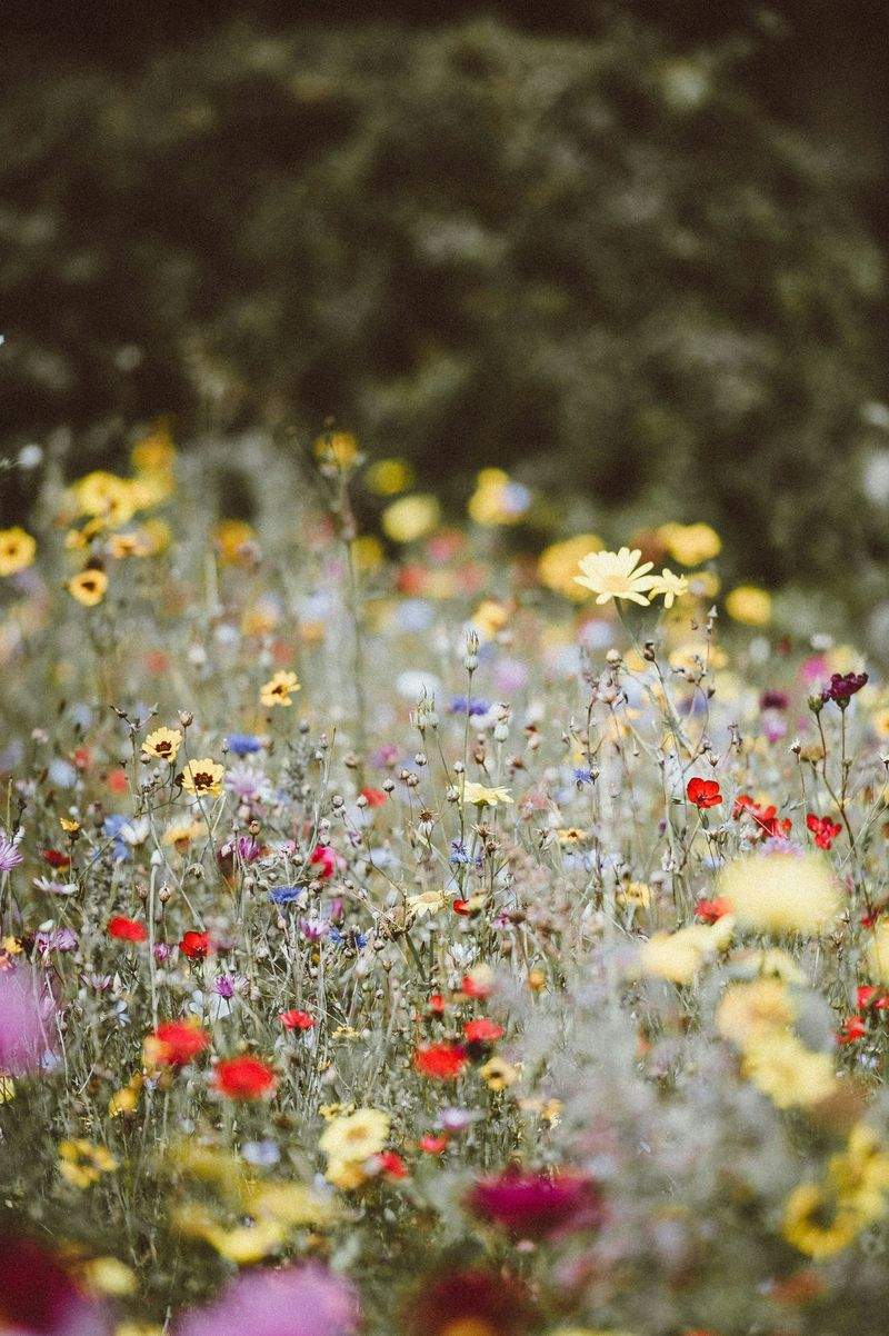 Early Spring Garden Prep for a Healthier Growing Season