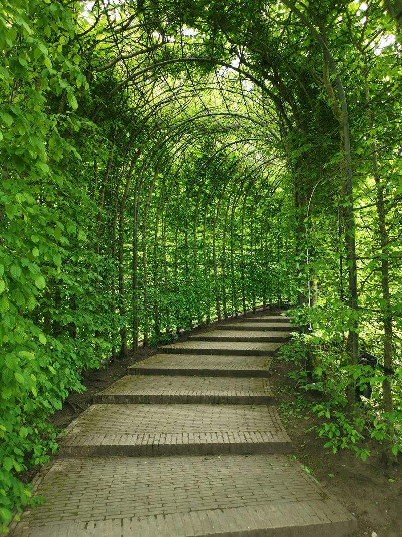 Choosing Pollinator-Friendly Plants for Maple Grove Gardens