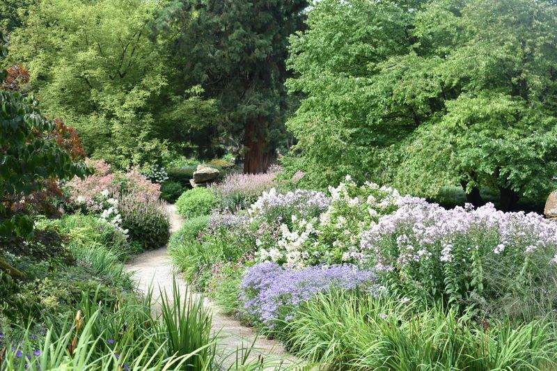 Winter Garden Planning: Designing Before the Thaw