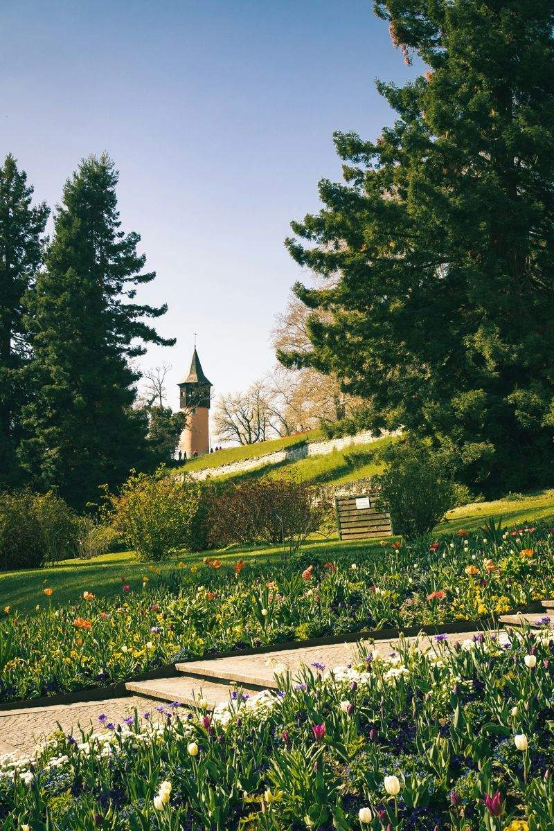 Maple Grove Gardenworks 13