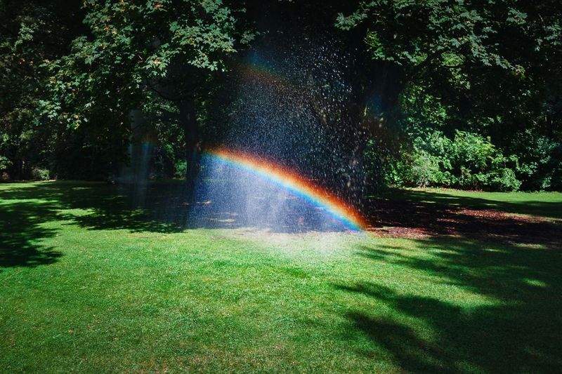 Maple Grove Gardenworks 6